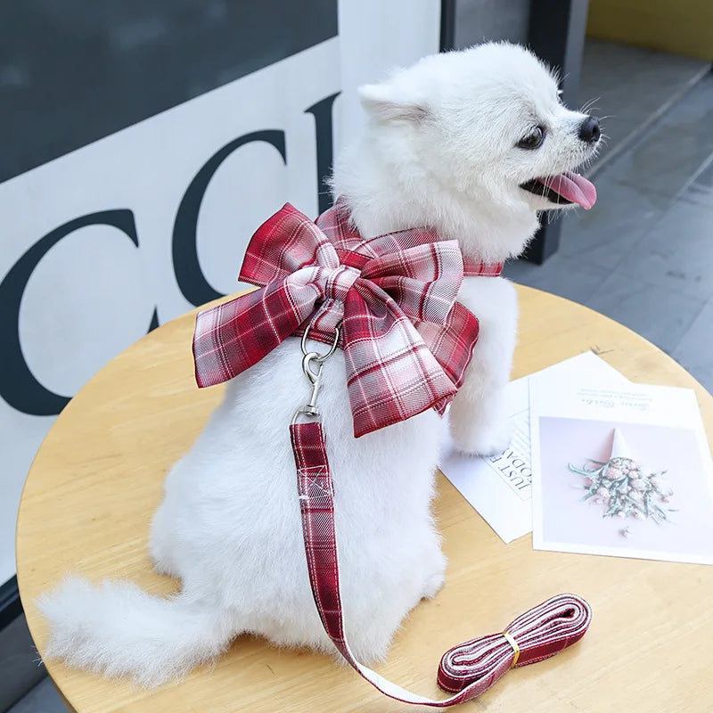 Coleira Peitoral com laço 2 em 1 com Guia para cachorras Pettit